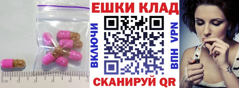 ЭКСТАЗИ бентли  дарнет шоп  Сочи 