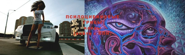 гидропоника Алексин