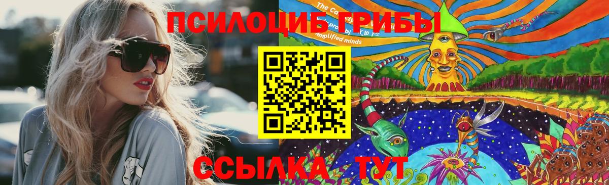 Галлюциногенные грибы мицелий Сочи
